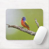 色彩の鮮やかBunting Passerina ciris)男性の歌 マウスパッド (マウス)