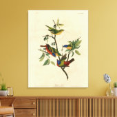 色彩の鮮やかFinch (Bunting) Audubon's Birds of America キャンバスプリント (インサイチュ (リビング))