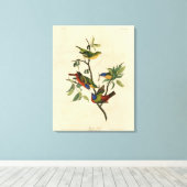 色彩の鮮やかFinch (Bunting) Audubon's Birds of America キャンバスプリント (インサイチュ (ウッドフロア))