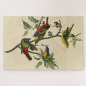 色彩の鮮やかFinch (Bunting) Audubon's Birds of America ジグソーパズル (横)