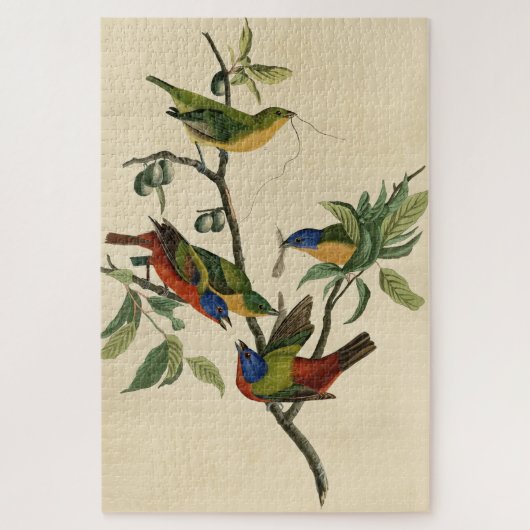 色彩の鮮やかFinch (Bunting) Audubon's Birds of America ジグソーパズル (縦)