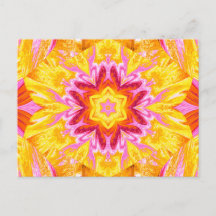 色彩の鮮やかLOTUS 29