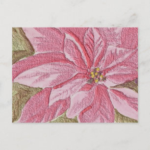 色彩の鮮やかPoinsettia Christmas Flower シーズンポストカード