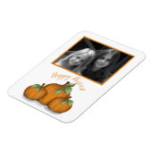 色彩の鮮やかPumpkins Photo Magnet マグネット (左側)