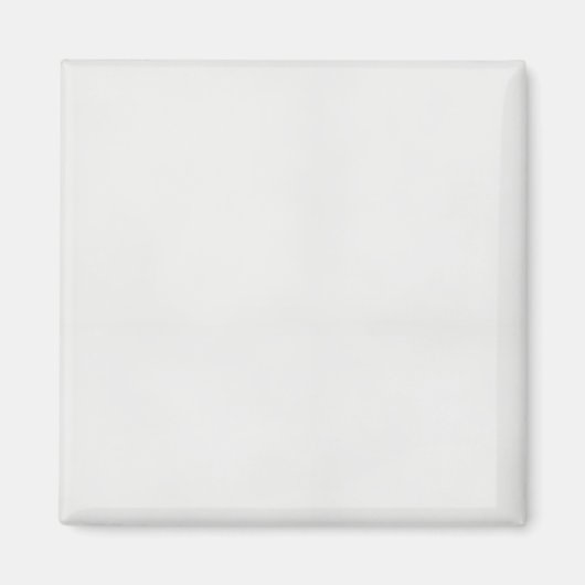 色彩理論の力を解き放つ マグネット (正面)