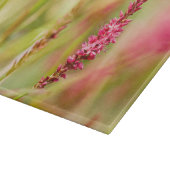 色彩画 カッティングボード (角)