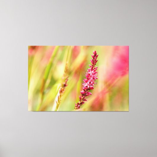 色彩画 キャンバスプリント (正面)