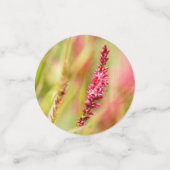 色彩画 コンフェッティ (スモール正面)