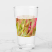 色彩画 タンブラーグラス (正面)