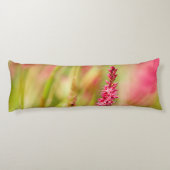 色彩画 ボディピロー (裏面)