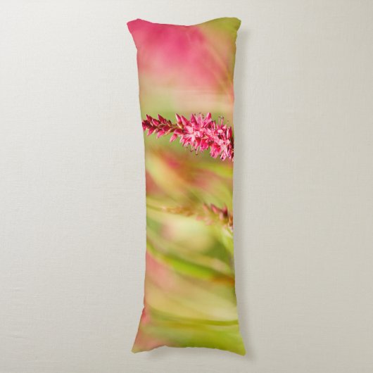 色彩画 ボディピロー (正面縦)