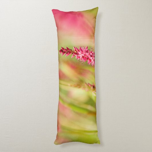 色彩画 ボディピロー (裏面 (縦))