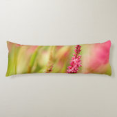 色彩画 ボディピロー (正面)