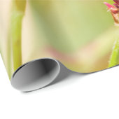 色彩画 ラッピングペーパー (ロールコーナー)