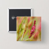 色彩画 缶バッジ (正面&裏面)