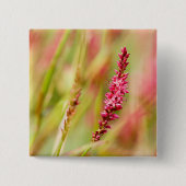 色彩画 缶バッジ (正面)