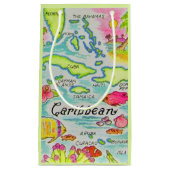 色彩豊図解入りの、写真付きのかな島抱き枕 スモールペーパーバッグ (正面)