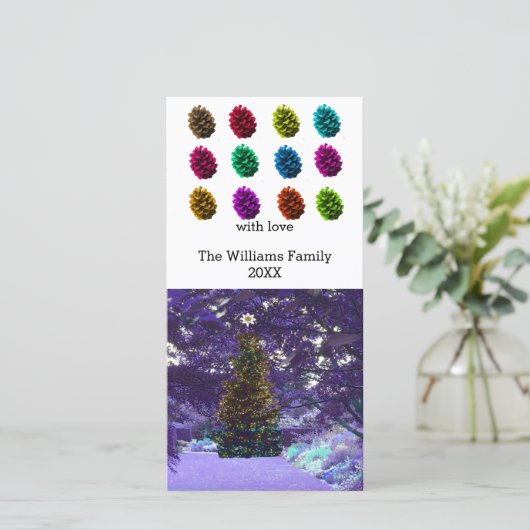 色数々のの松の円錐写真カード シーズンカード (スタンド正面)