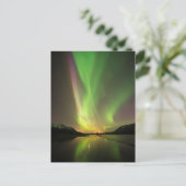 色数々のオーロラ ポストカード (スタンド正面)