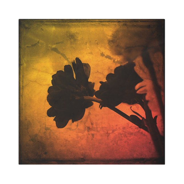 色数々のカーネーション メタルプリント (正面)