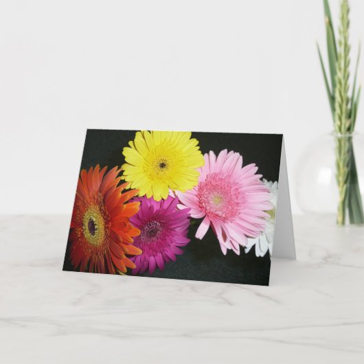 色数々のガーベラ カード (正面)