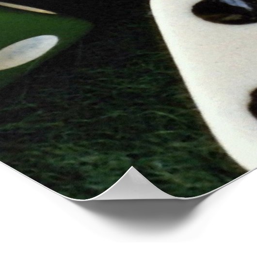 色数々のサイコロ写真 ポスター (角)