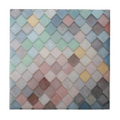 色数々のタイル タイル (正面)