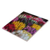 色数々のチューリップ タイル (側面)