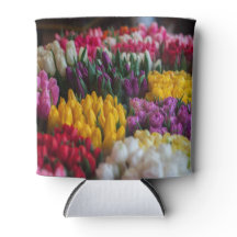 色数々のチューリップ