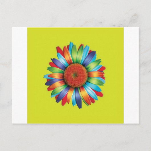 色数々のデイジー ポストカード (正面)