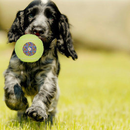 色数々のハート眼球照合カラフル テニスボール