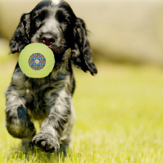 色数々のハート眼球照合カラフル テニスボール