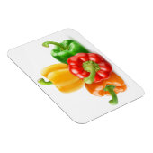 色数々の唐辛子 マグネット (右側)