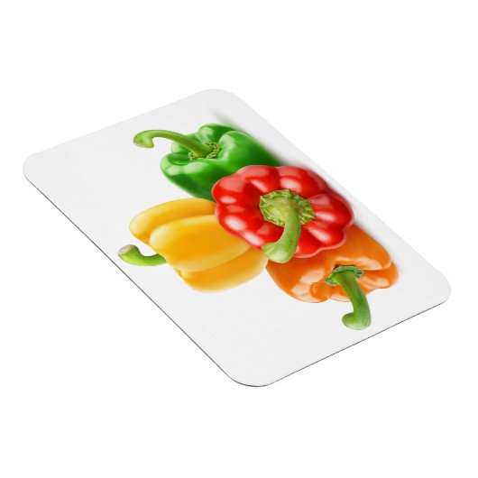 色数々の唐辛子 マグネット (右側)