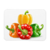 色数々の唐辛子 マグネット (横)