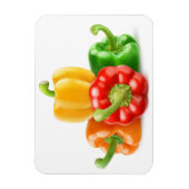 色数々の唐辛子 マグネット (縦)