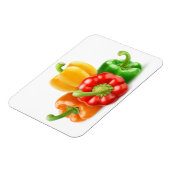 色数々の唐辛子 マグネット (左側)