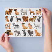 色数々の子犬スクラップブック紙 チラシ (手)