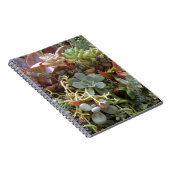 色数々の色の ノートブック (右側)