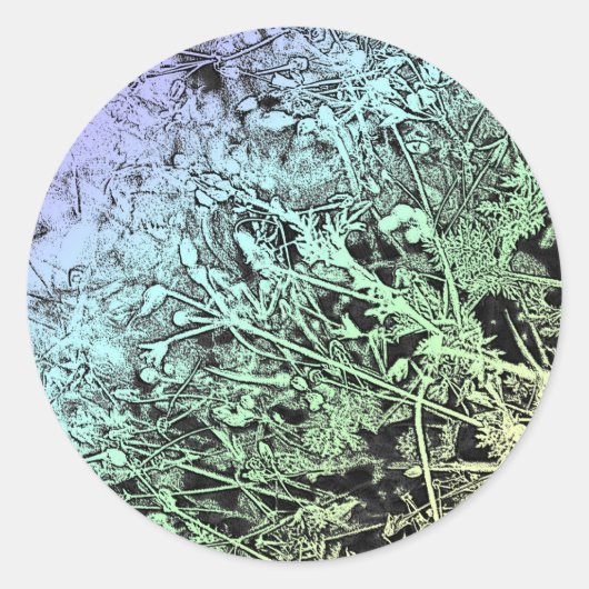色数々の雑草 ラウンドシール (正面)