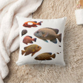 色数々の魚 クッション (ブランケット)