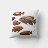 色数々の魚 クッション (裏面)