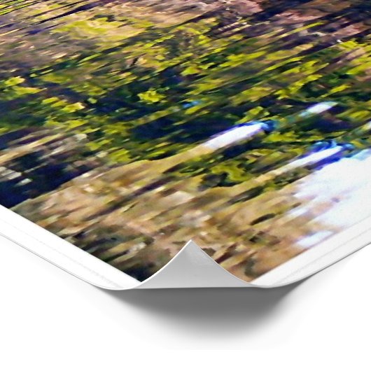 色泳ぎ ポスター (角)