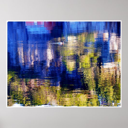 色泳ぎ ポスター (正面)