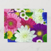 色用デイジー葉書 ポストカード (正面/裏面)