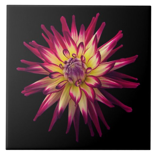 色素晴らしの組み合わせ花 タイル (正面)