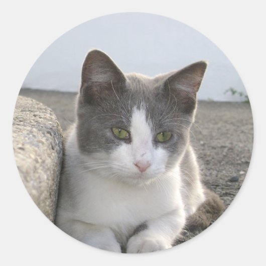 色蕾 ラウンドシール (正面)