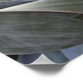 色褪せた多肉性詳細, 2017 ポスター (角)