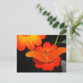 色調整 ポストカード (スタンド正面)