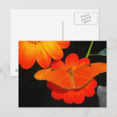 色調整 ポストカード (正面/裏面)